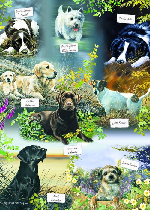 mans-best-friend-otter-house-puzzle.84897-1.fs.jpg