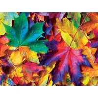 master-pieces-fall-frenzy-jigsaw-puzzle-550-pieces.79428-1.fs.jpg