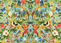 oranges-master-pieces.84937-1.fs.jpg