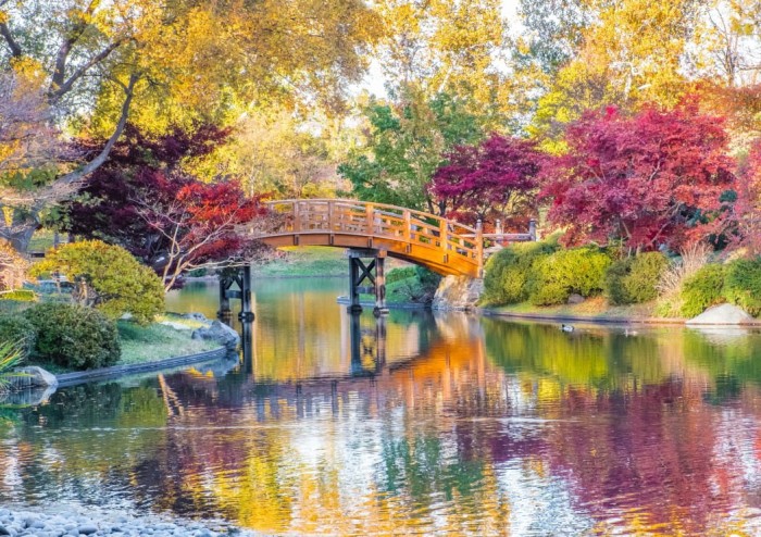 bluebird-puzzle-midwest-botanical-garden-jigsaw-puzzle-1500-pieces.83315-1.fs.jpg