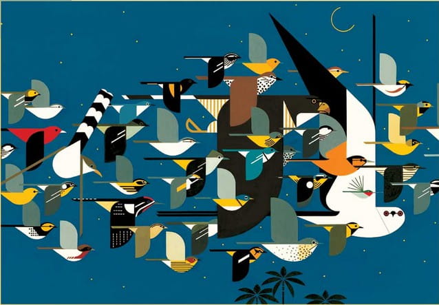 charley-harper-mystery-of-the-missing-migrants-jigsaw-puzzle-1000-pieces.42346-1.fs.jpg