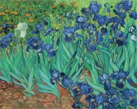 van-gogh-vincent-iris-jigsaw-puzzle-1000-pieces.42354-1.fs.jpg
