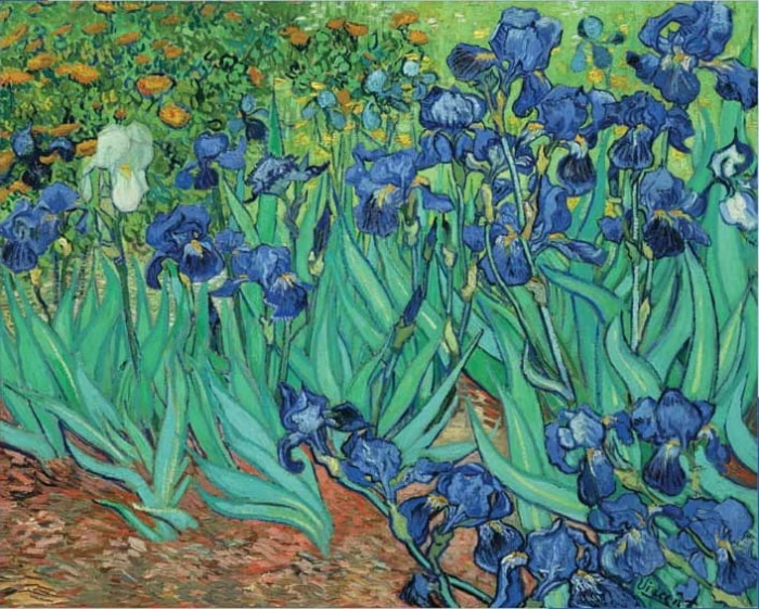 van-gogh-vincent-iris-jigsaw-puzzle-1000-pieces.42354-1.fs.jpg
