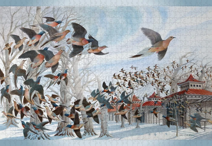 john-a-ruthven-the-last-passenger-pigeon.85042-1.fs.jpg