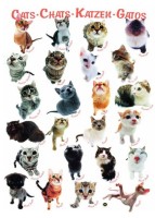 classic-cats-jigsaw-puzzle-1000-pieces.42319-1.fs.jpg
