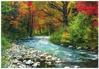 jigsaw-puzzle-1000-pieces.42392-1.fs.jpg