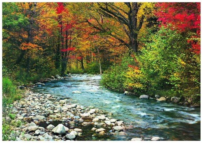 jigsaw-puzzle-1000-pieces.42392-1.fs.jpg