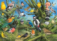joahn-francis-garden-birds-jigsaw-puzzle-1000-pieces.58556-1.fs.jpg