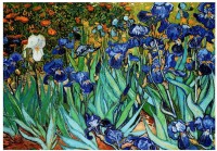 jigsaw-puzzle-1000-pieces.42506-1.fs.jpg