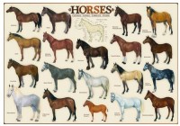 horses-jigsaw-puzzle-1000-pieces.41885-1.fs.jpg