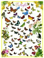 jigsaw-puzzle-1000-pieces-butterflies.2233-1 (1).jpg