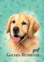 pol_pl_Puzzle-100-el-Psy-Golden-retriever-6738_2.jpg