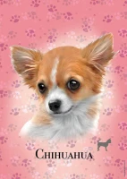 pol_pl_Puzzle-100-el-Psy-Chihuahua-6741_2.jpg