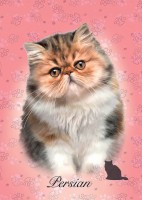 pol_pl_Puzzle-100-el-Koty-Perski-6742_2.jpg