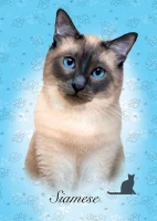 pol_pl_Puzzle-100-el-Koty-Syjamski-6744_2.jpg