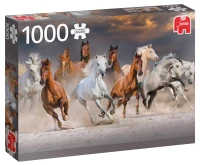pol_pl_Puzzle-1000-el-PC-Pustynne-konie-7609_1.jpg