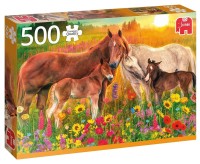 pol_pl_Puzzle-500-el-PC-Konie-na-lace-7359_1.jpg