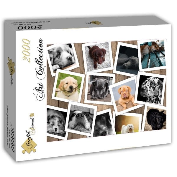 chiens-jigsaw-puzzle-2000-pieces_59643-2_fs.jpg