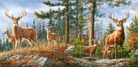 royal-deer-family-jigsaw-puzzle-4000-pieces.85096-1.fs.jpg