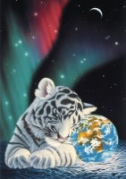 schim-schimmel-earth-light-jigsaw-puzzle-2000-pieces_59758-1_fs.jpg