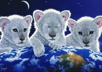 schim-schimmel-secret-mystery-and-hope-jigsaw-puzzle-2000-pieces_59764-1_fs.jpg