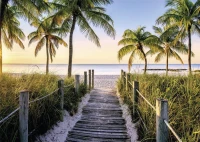 florida-beach-jigsaw-puzzle-1000-pieces.62534-1.fs.jpg