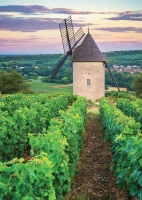 moulin-sorine-vignoble-de-santenay-bourgogne.85732-1.fs.jpg