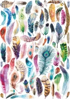 aquarelles-de-plumes.85736-1.fs.jpg