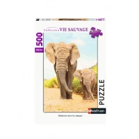 elephants.85723-2.fs.jpg