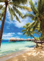 plage-bora-polynesie-francaise.85729-1.fs.jpg
