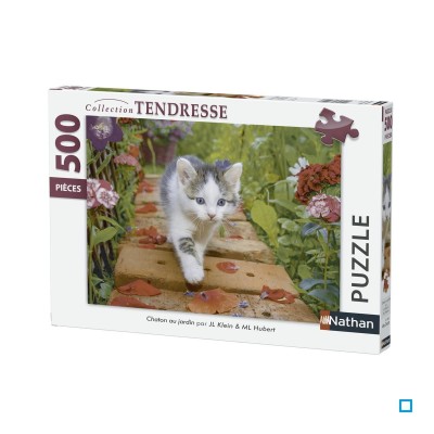 Nathan 500 - Kitten