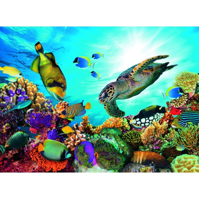 coral-reef-jigsaw-puzzle-500-pieces.82548-1.fs.jpg