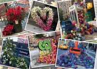 m-puzzle-kvetiny-v-new-yorku-1000-dilku-129261.jpg