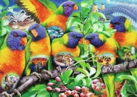 m-puzzle-zeme-papousku-1000-dilku-129265.jpg