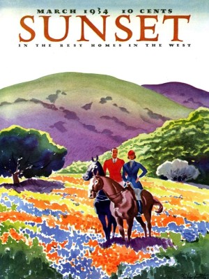 New York Puzzle Company 500 XXL - Sunset - Horses in The Hills