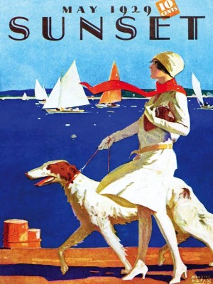 New York Puzzle Company 500 XXL - Sunset - Dock Walking