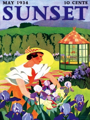 New York Puzzle Company 500 XXL - Sunset - Iris Gardening