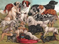 new-york-puzzle-company-dog-breeds-jigsaw-puzzle-1000-pieces.85623-1.fs.jpg