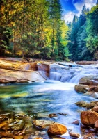 beautiful-waterfall-in-the-forest-jigsaw-puzzle-2000-pieces_63506-1_fs.jpg