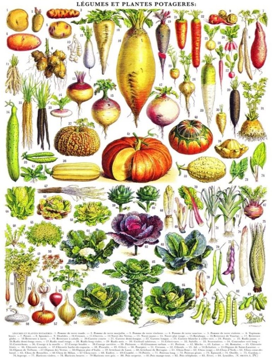 new-york-puzzle-company-vintage-images-vegetables-jigsaw-puzzle-1000-pieces.85457-1.fs.jpg