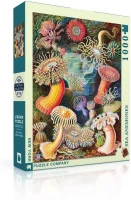 new-york-puzzle-company-vintage-images-sea-anemones-jigsaw-puzzle-1000-pieces.85460-2.fs.jpg