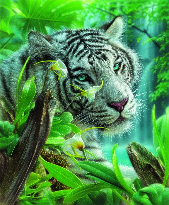 white-tiger-of-eden.87138-1.fs.jpg