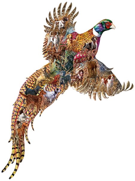 xxl-pieces-sports-afield-jigsaw-puzzle-685-pieces.87155-1.fs.jpg