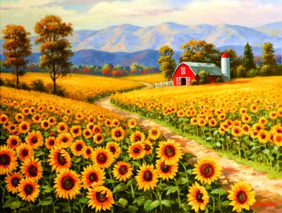 SunsOut 300 - Red River Sunflower Farm