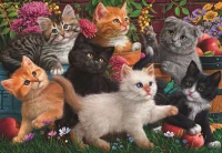 perre-anatolian-kittens-playing-jigsaw-puzzle-260-pieces.84879-1.fs.jpg