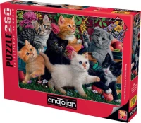 perre-anatolian-kittens-playing-jigsaw-puzzle-260-pieces.84879-2.fs.jpg
