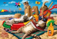 perre-anatolian-cats-on-the-beach-jigsaw-puzzle-260-pieces.84874-1.fs.jpg