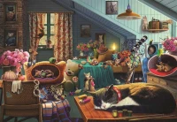 perre-anatolian-kitten-play-bedroom-jigsaw-puzzle-260-pieces.84883-1.fs.jpg