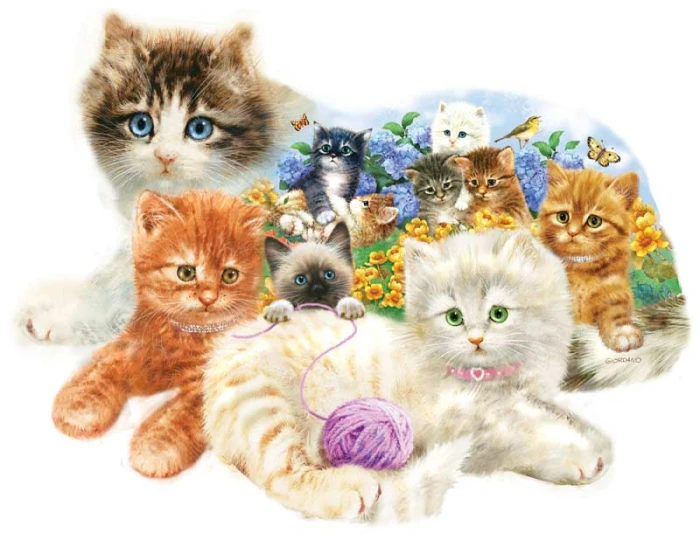 giordano-studios-a-litter-of-kittens-jigsaw-puzzle-1000-pieces_64395-1.jpg