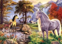 art-puzzle-hidden-horses-jigsaw-puzzle-1000-pieces.87196-1.fs.jpg